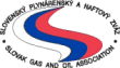 SPNZ-e1373225383298