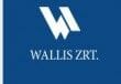 Wallis-Auto-Holding1-e1374847002768