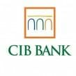 cib-bank-e1374856093302