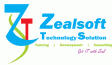 zealsoft-e1373227098466